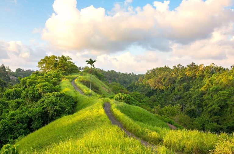 tjampuhan trail with good light