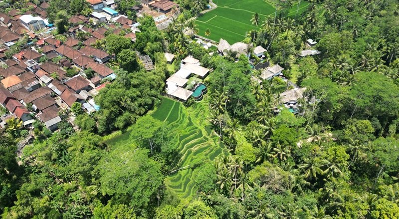 aerial shot wide view