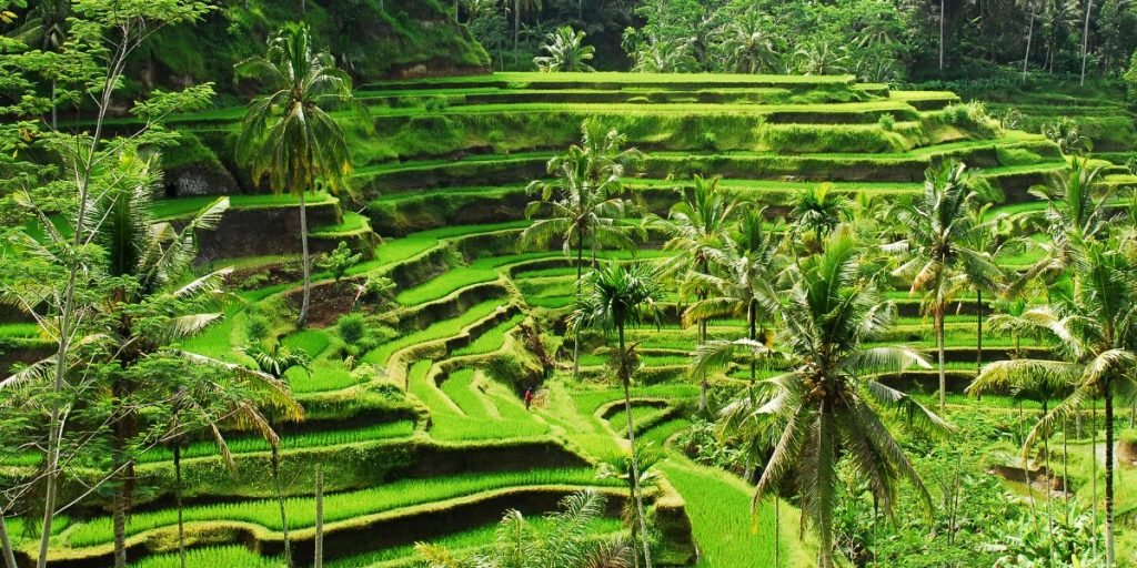 weather in ubud