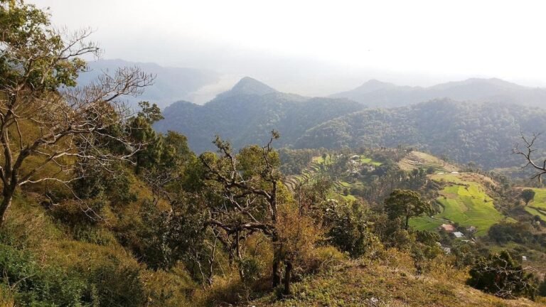 758-Hectare Angseri Village Thrives on Sustainable Agriculture at Mountain’s Foot