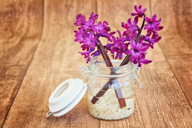 Cempaka Fragrance Shapes Daily Rituals and Welcomes Visitors to Sibang Kaja Village
