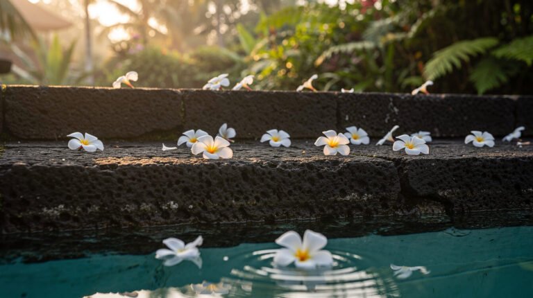 The Frangipani That Fall While You Sleep