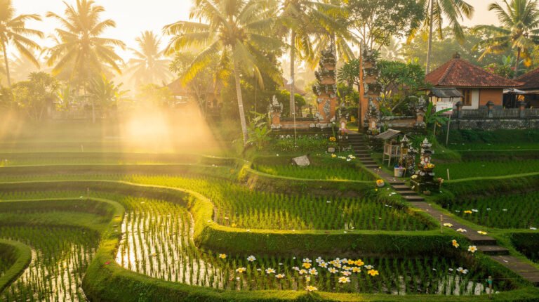 Is Ubud Worth Visiting? An Honest Guide to Bali’s Cultural Heart