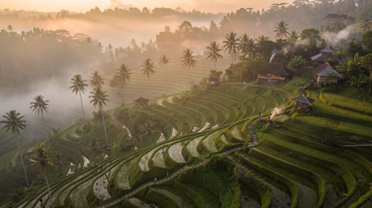 Ubud vs Canggu: Which Part of Bali Is Right for You?